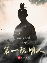 《北宋第一聪明人》封面