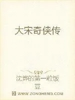 《大宋奇侠传》封面