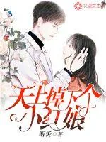 《天上掉下个小红娘》封面