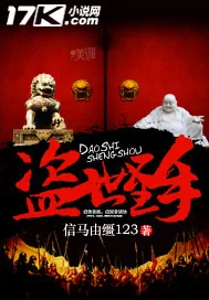 《盗世圣手》封面