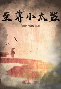 《至尊小太监》封面