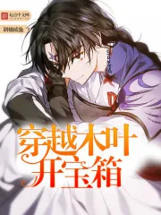 《穿越木叶开宝箱》封面