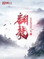 《翻龙》封面