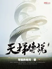 《天梯传说》小说封面