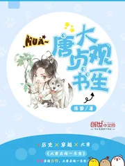 《大唐贞观一书生》封面
