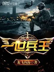 《一世兵王》封面