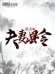 《夫妻县令》封面