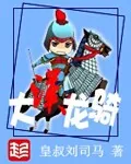 《大汉龙骑》封面