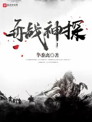 《再战神探》封面