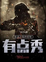 《抗战之我的系统有点秀》封面