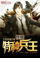 《终极特种兵王》封面