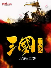 《三国一小兵》小说封面