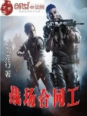 《战场合同工》封面