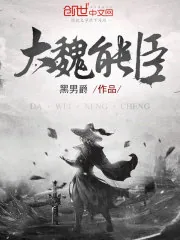 《大魏能臣》小说封面