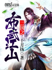 《三国之布武江山》封面