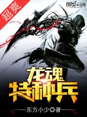 《龙魂特种兵》封面