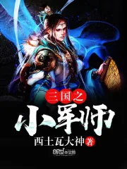 《三国之小军师》小说封面