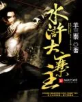《水浒大寨主》封面