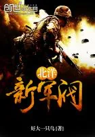 《北洋新军阀》封面