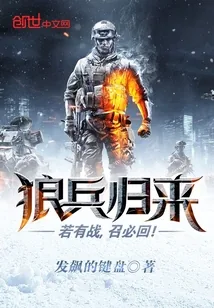 《狼兵归来》封面