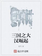《三国之大汉崛起》封面