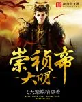 《大明崇祯帝》封面