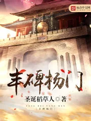 《丰碑杨门》封面