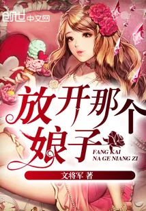《放开那个娘子》封面