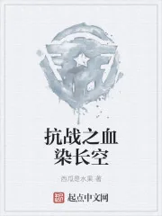 《抗战之血染长空》封面