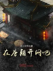 《在唐朝开网吧》封面