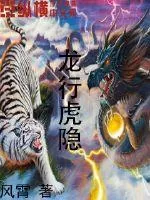 《龙行虎隐》封面