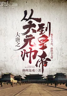 《大唐之从大元帅到皇帝》封面