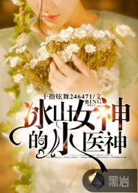 《冰山女神的小医神》封面