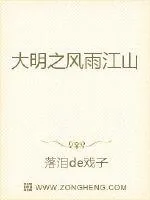 《大明之风雨江山》封面