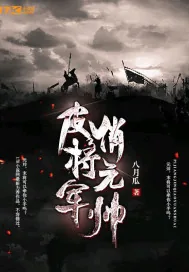 《皮将军俏元帅》封面