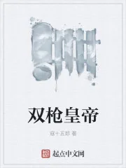 《双枪皇帝》小说封面