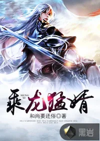 《乘龙猛婿》封面