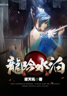 《龙吟水泊》封面