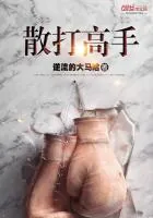 《散打高手》封面