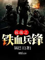 《抗战之铁血兵锋》封面