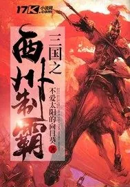 《大汉第三帝国》封面