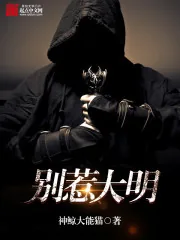 《别惹大明》封面