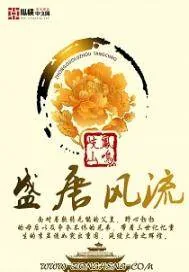 《盛唐风流》小说封面