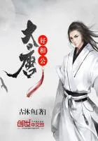《大唐好相公》封面