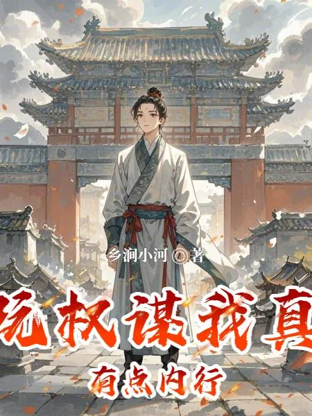 《玩权谋我真有点内行》小说封面