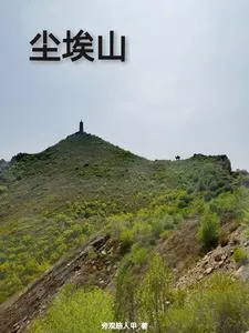 《尘埃山》小说封面