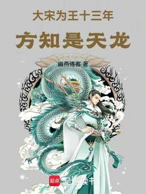 《大宋为王十三年,方知是天龙》小说封面