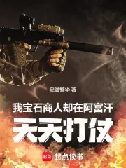 《我宝石商人,却在阿富汗天天打仗》小说封面