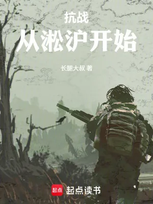 《抗战从淞沪开始》小说封面