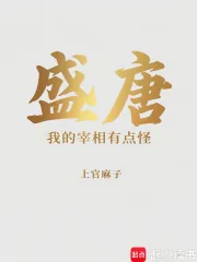 《盛唐：刘建军今天要干嘛》小说封面